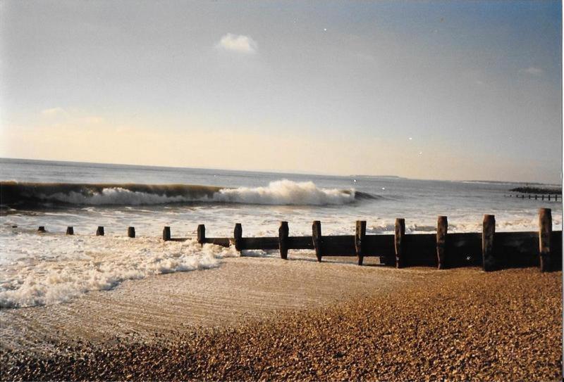 Pine Lodge Barton on Sea Eksteriør billede